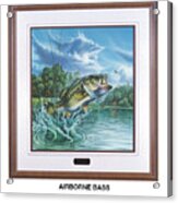 Airborne Bass #1 Acrylic Print