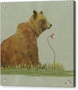 Alaskan Grizzly Bear #2 Acrylic Print