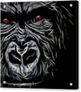 Ape Collection #2 Acrylic Print