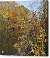 Autumn Colors On The Canal Acrylic Print