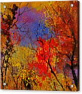 Autumn Colors  #2 Acrylic Print