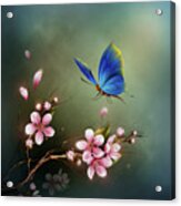 Blue Butterfly #3 Acrylic Print