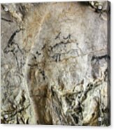 Cave Painting In Prehistoric Style #2 Acrylic Print