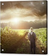 Farmer Walking In Corn Fields At Sunset #2 Acrylic Print