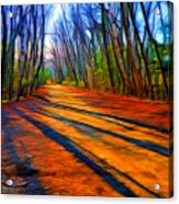 Long Shadows #2 Acrylic Print