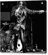 Peter Wolf #11 Acrylic Print