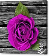 Rose Wood Collection #2 Acrylic Print