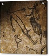 Stone-age Cave Paintings, Lascaux, France #2 Acrylic Print