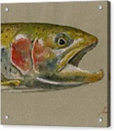 Trout Watercolor Painting #2 Acrylic Print