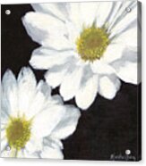 White Daisies Acrylic Print