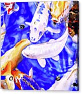 #221 High Hand Koi 3 #221 Acrylic Print