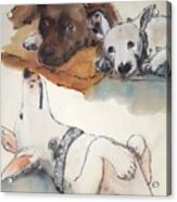 Dogs Dogs  Dogs Album #3 Acrylic Print