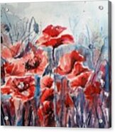 Poppies #12 Acrylic Print