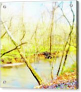 Stream In Spring, Montgomery County, Pennsylvania #3 Acrylic Print
