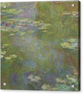 Water Lily Pond Acrylic Print