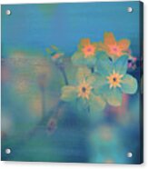 Texture Flowers #34 Acrylic Print