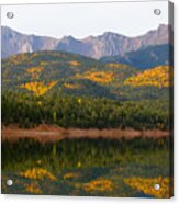 Autumn Aspen At Crystal Creek Reservoir Pikes Peak #4 Acrylic Print