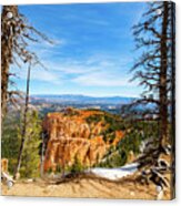 Bryce Canyon Utah #4 Acrylic Print