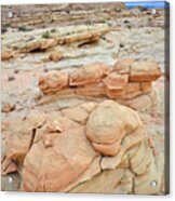 Multicolored Cropping In Valley Of Fire #4 Acrylic Print