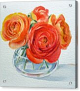 Ranunculus #3 Acrylic Print