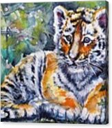 Tiger Cub #4 Acrylic Print