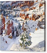 Winter Sunrise Bryce Canyon National Park Utah #4 Acrylic Print