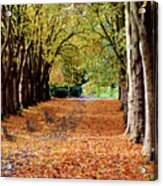Autumn In The Park #5 Acrylic Print