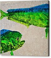 Gyotaku - Mahi Mahi - Dorado - Dolphinfish #5 Acrylic Print