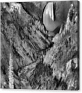 Lower Yellowstone Falls Acrylic Print
