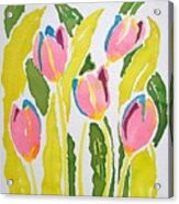 5 Pink Tulips Watercolor Acrylic Print