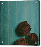 Roses On Blue Wooden Table Acrylic Print