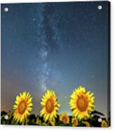 Sunflower Galaxy Iii Acrylic Print