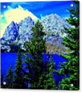 Yellowstone Park #6 Acrylic Print