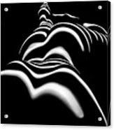 8903-slg Zebra Woman Shoulders And Back Sensual Nude Abstract Black White Stripe By Chris Maher Acrylic Print