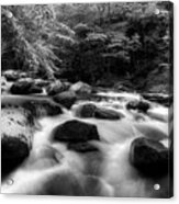 A Black And White River Acrylic Print