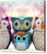 A Colourful Parliament Of Owls Acrylic Print