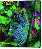 A Cosmic Owl In A Psychedelic Forest Acrylic Print