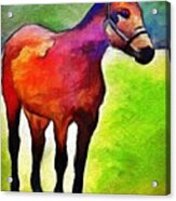 A Horse Of A Different Color Acrylic Print