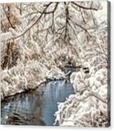 A Lil' Bit Of Snow Acrylic Print