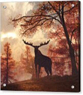 A Moose In Fall Acrylic Print
