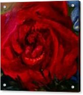 A  Rose Is Acrylic Print
