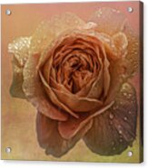 A Rose For Mother's Day Acrylic Print
