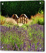 A Stroll In The Lavender Acrylic Print