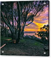 A Swinging Sunset From The Secret Swings Of La Jolla Acrylic Print