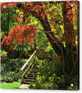 A Walk In Lithia Park Acrylic Print