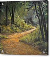 A Walk In The Woods Acrylic Print