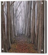 A Walk In The Woods Acrylic Print