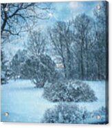 A Winters Tale Acrylic Print