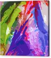 Abstract Colors Acrylic Print