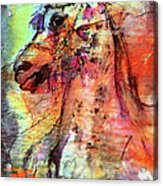 Abstract Expressive Arabian Stallion Art Acrylic Print